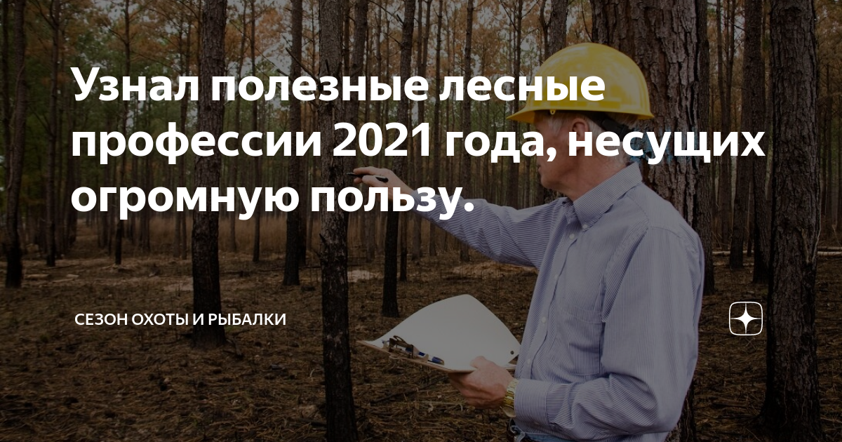 Исследовательский проект профессии леса И снова Грета... ЯПлакалъ