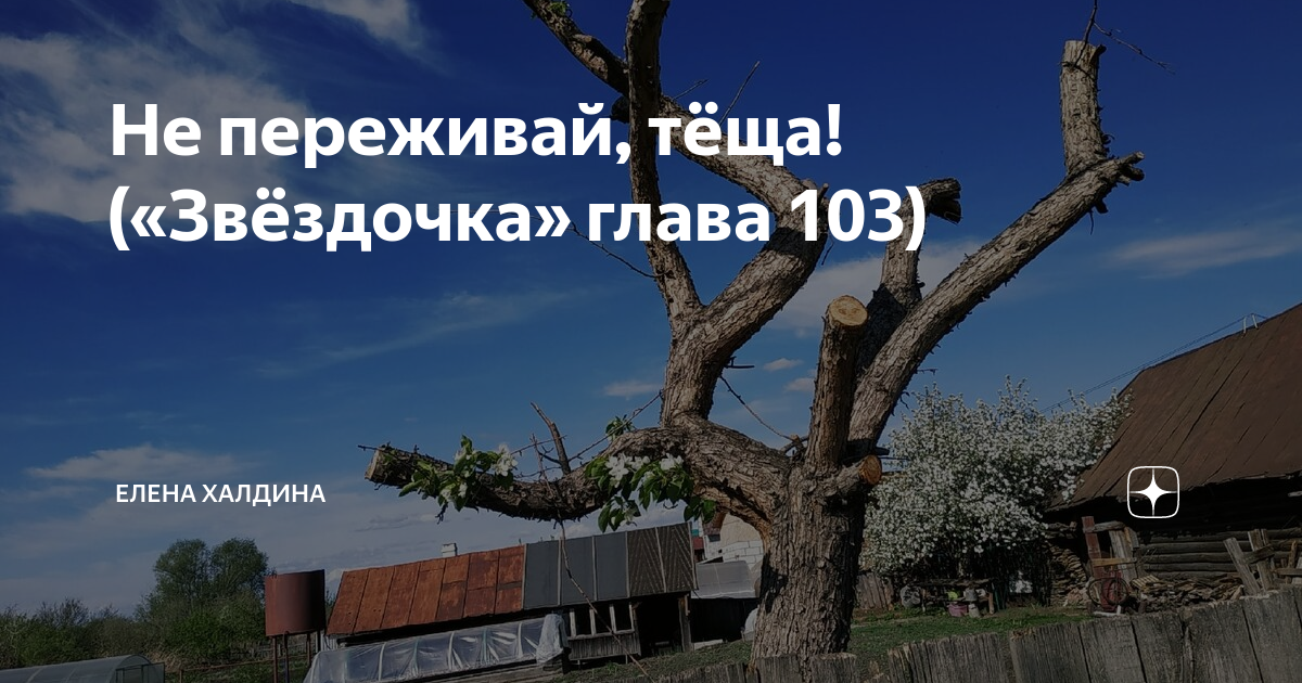 Продолжение рассказа звездочка елены халдиной. Звёздочка Елена Халдина последняя глава. Елена Халдина Звездочка. Звездочка дзен Елена Халдина. Елена Халдина Звездочка последняя глава читать.