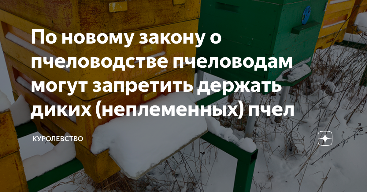 Фз о пчеловодстве. Новый законы по пчеловодству. Новый закон о пчеловодстве 2020. Закон о пчеловодстве 2022. Закон о пчеловодстве 30 декабря 2020.