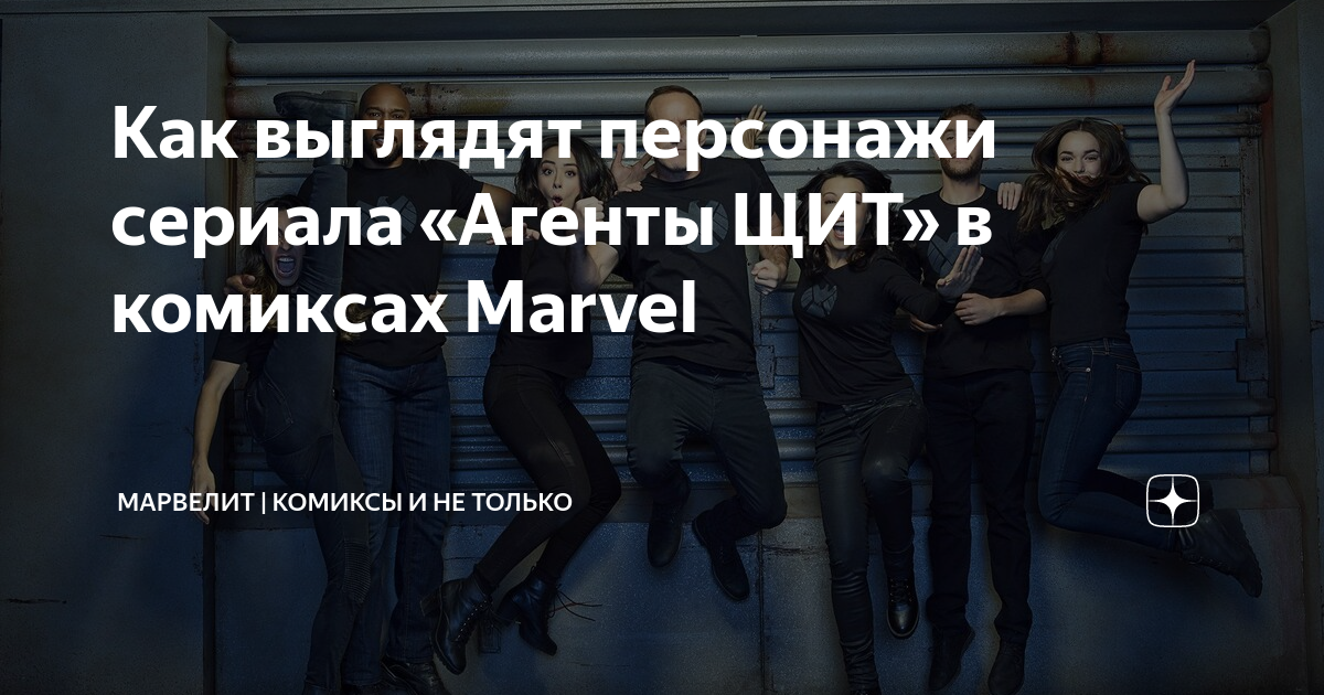 Агенты щит автомобили