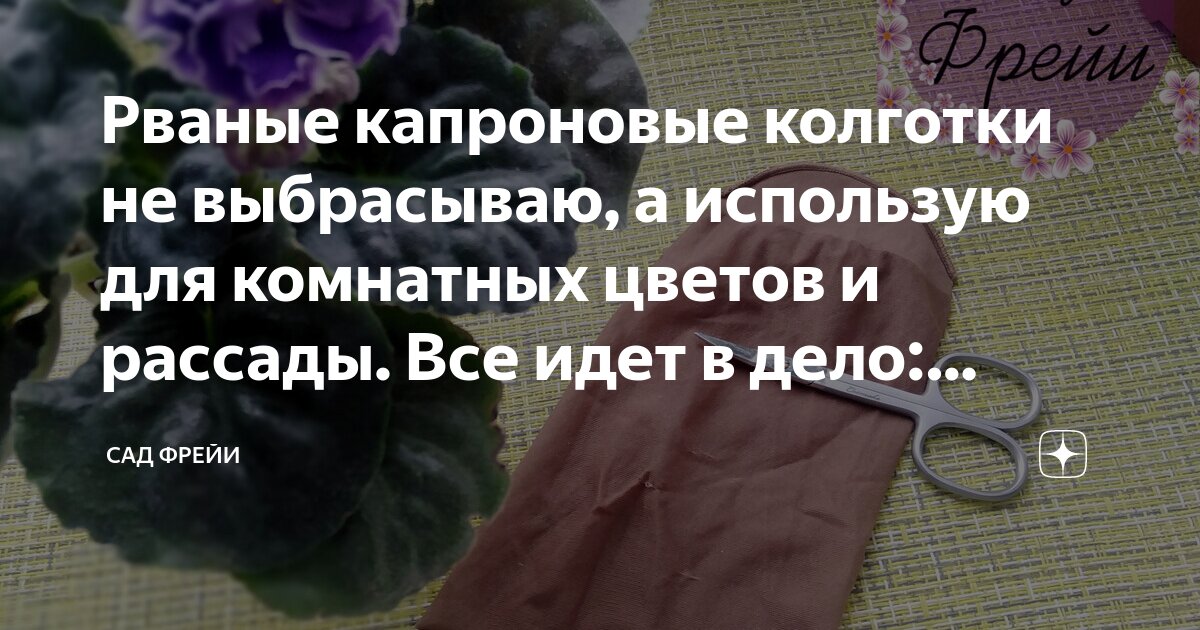 Рваные капроновые колготки не выбрасываю, а использую для комнатных ...
