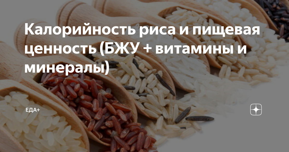 Киноа: лучшая крупа или пустышка? Польза и вред, приготовление - FitoMarket