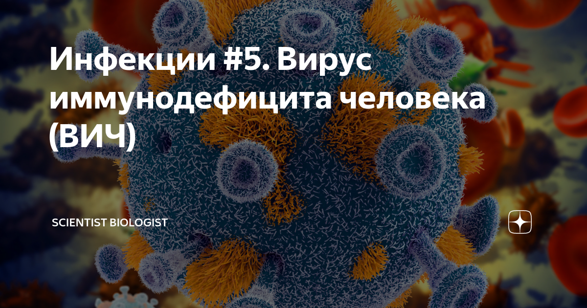 вирус иммунодефицита человека является