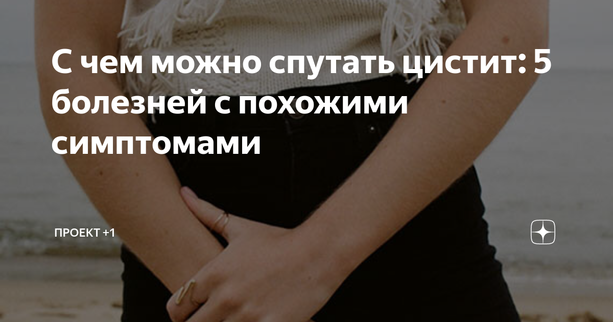 Глагол существительное в косвенном падеже. Ложный боровик белый гриб. Ложный подосиновик гриб. Боровик гриб съедобный и ядовитый. Ложный подберезовик.