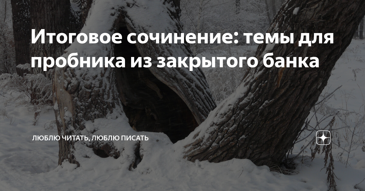 Почему картины зимы так интересны писателям. Пробник итогового сочинения.