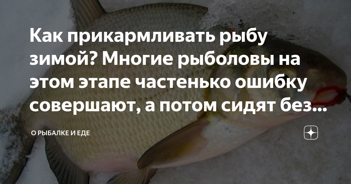 Как прикармливать рыбу зимой? Многие рыболовы на этом этапе частенько ...