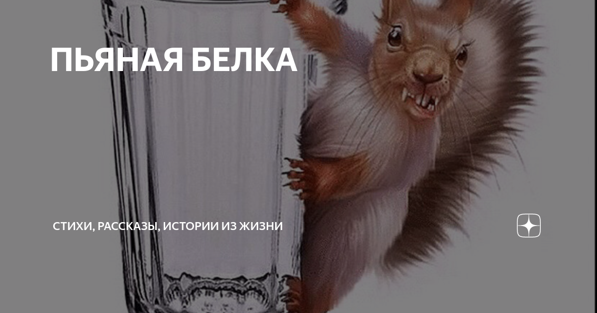 злая белка. белочка демотиватор. адская белка. адская белочка. адская белка.