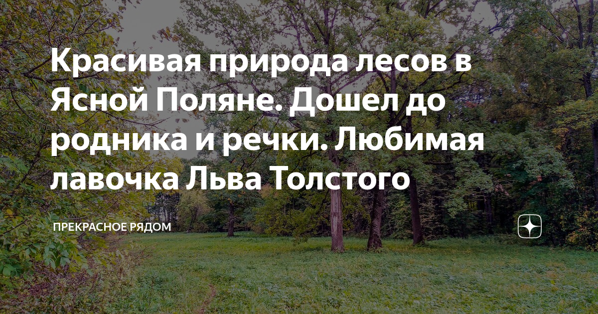 Любимая скамейка толстого в ясной поляне