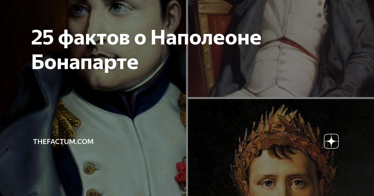 25 фактов о Наполеоне Бонапарте | TheFactum | Дзен
