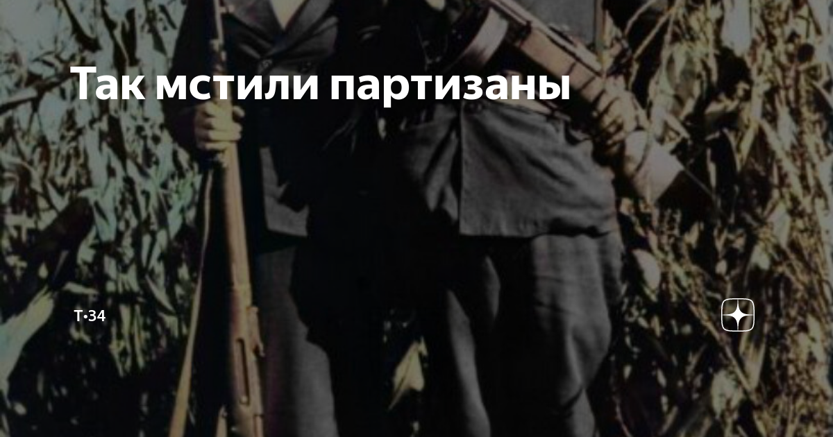 модераторы дзена