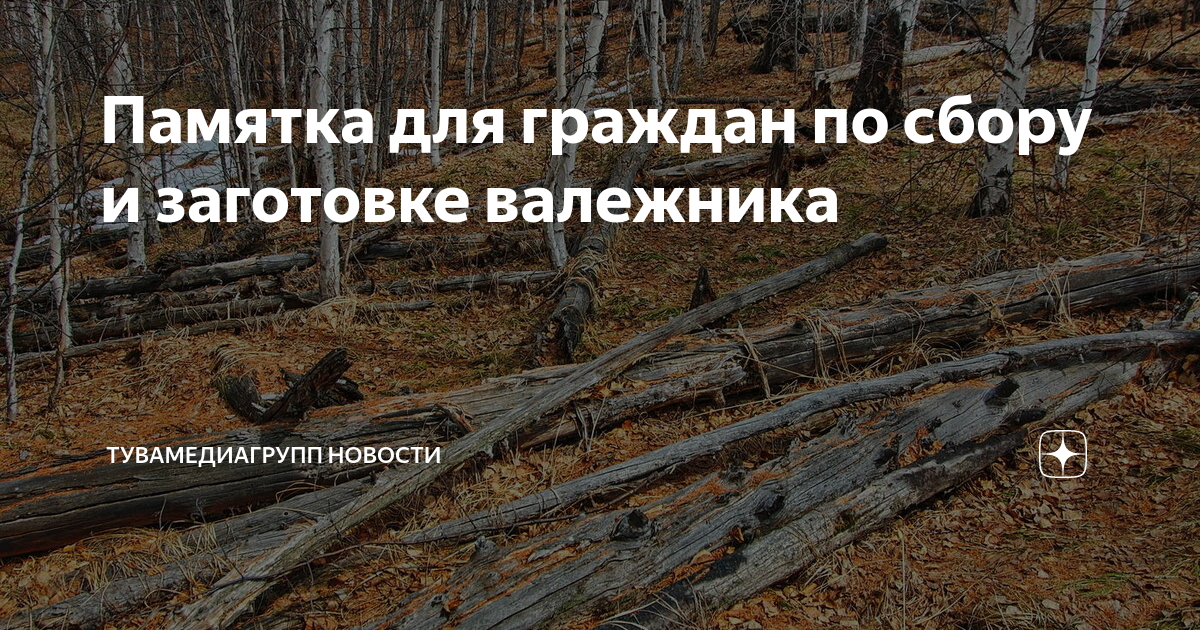 памятка по сбору валежника в московской области. собирать валежник. где собирать валежник. как отличить валежник дуба. закон о сборе валежника.