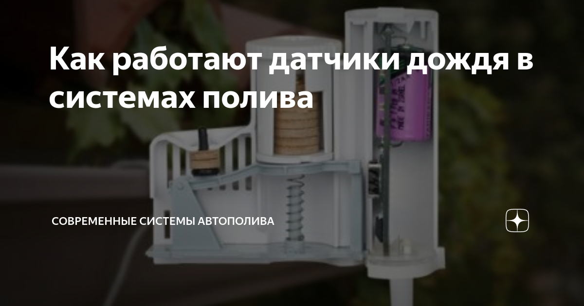 Датчик дождя для полива