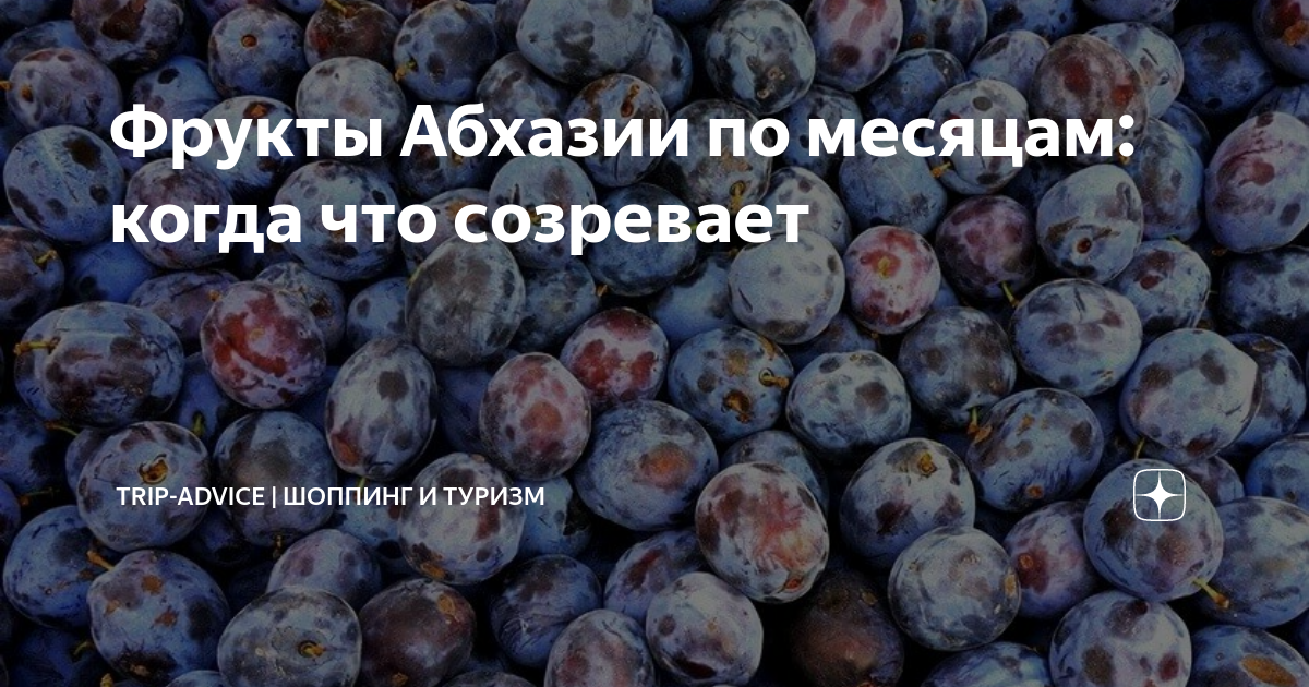 Когда в абхазии созревают. Фрукты Абхазии по месяцам. Фрукты и овощи Абхазии по месяцам. Созревание фруктов в Абхазии по месяцам. Фрукты в Абхазии в июне шелковица.