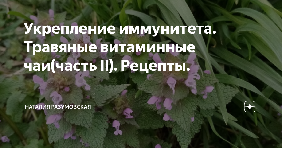 Укрепление иммунитета. Травяные витаминные чаи(часть II). Рецепты ...