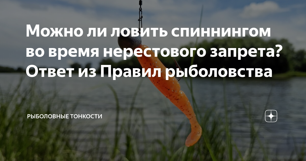 С какого числа можно ловить воблу