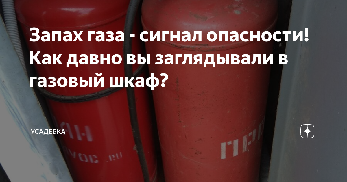 Добавляют в газ для запаха 7