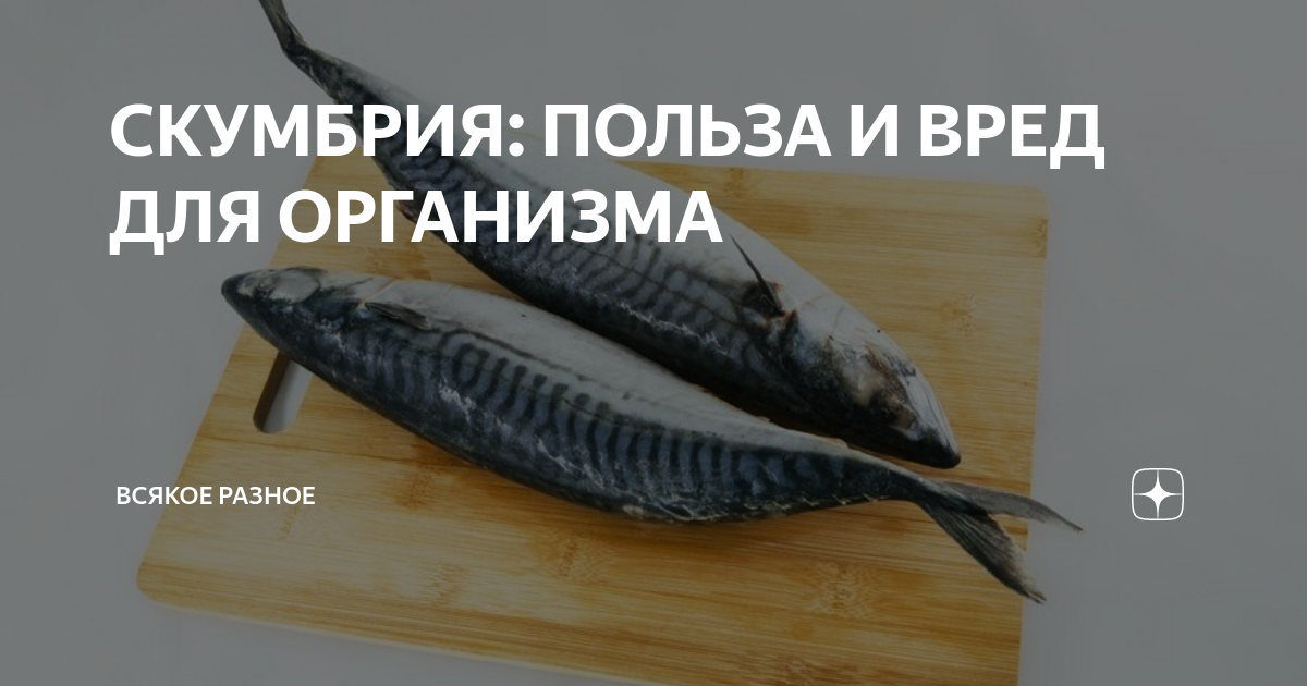 Скумбрия горячего копчения польза. Скумбрия холодного копчения. Скумбрия для беременных польза и вред. Копченая скумбрия холодного копчения. Скумбрия копченая польза.