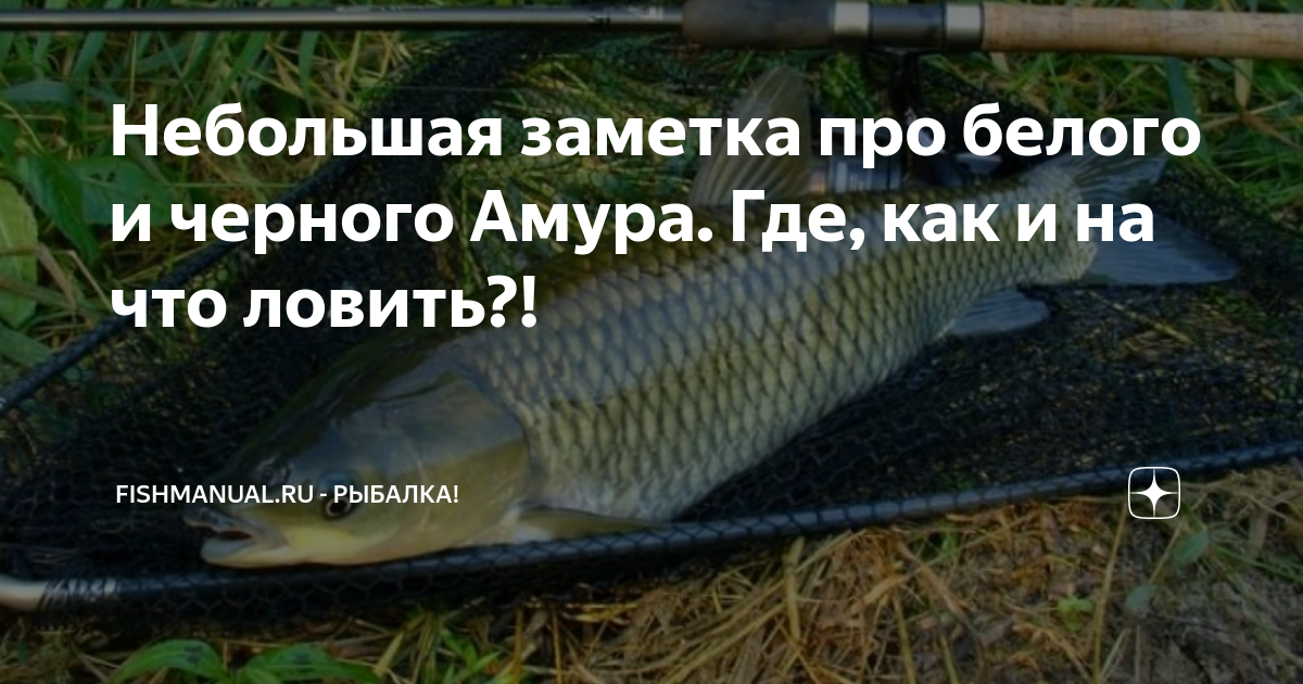 форум игры Русская рыбалка