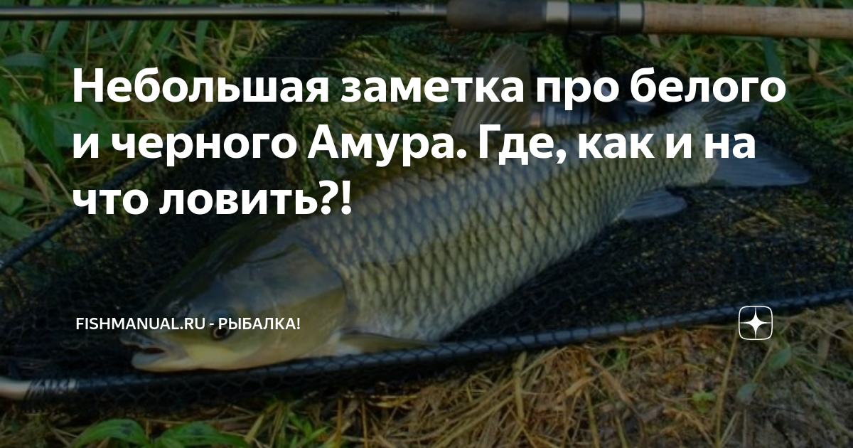 НА СУШЕ И НА МОРЕ Повести, рассказы, очерки, статьи