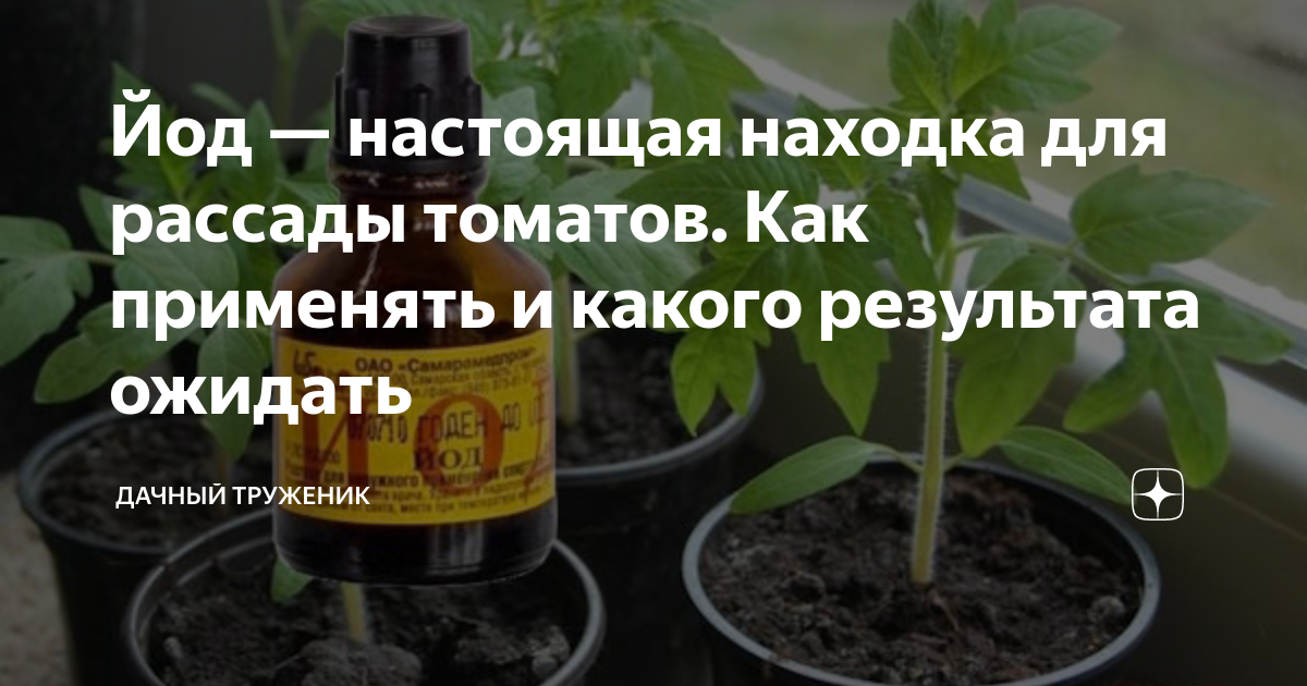 Можно лук поливать йодом. Йод для рассады. Йод для рассады помидор. Полив рассады йод. Подкармливание рассады томатов йодом