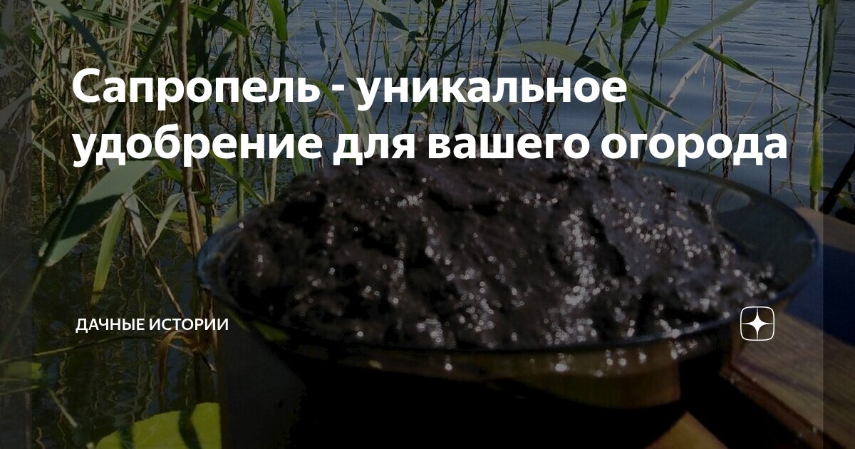 Сапропель: что это такое, как выглядит, как добыть своими руками, применение, отзывы