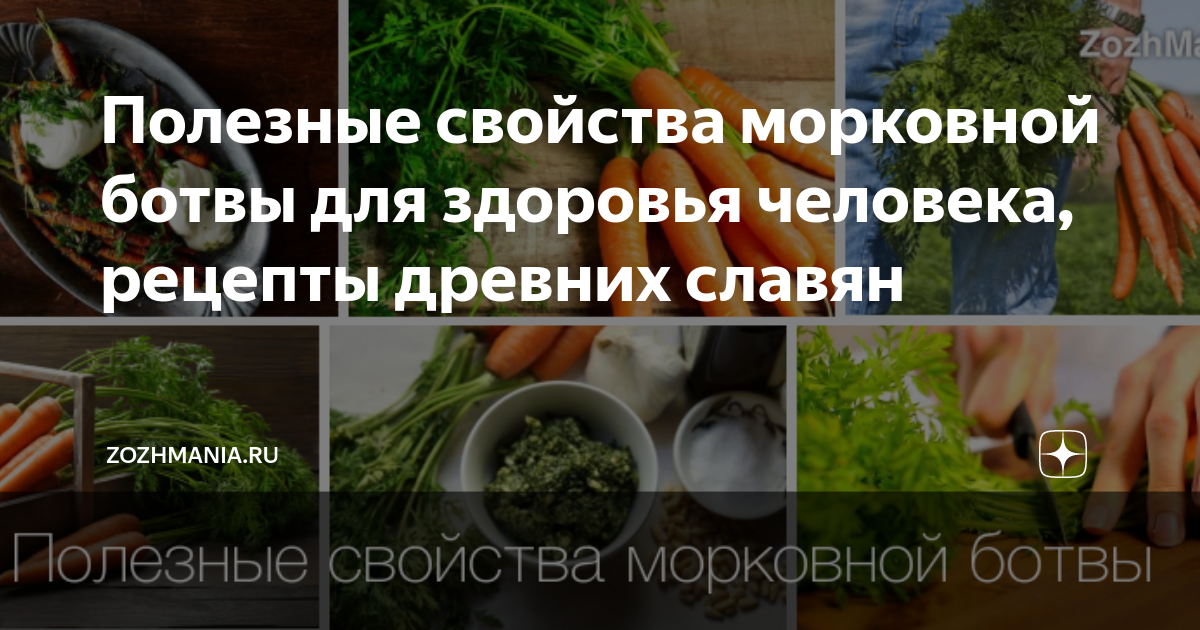 Ботва моркови полезные. Морковная ботва польза для человека вред здоровья. Ботва моркови в аптеке. Морковная ботва польза для человека вред здоровья. Морковная ботва польза для человека вред здоровья.