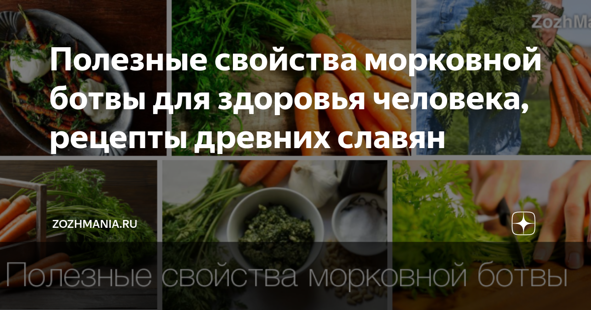 Польза морковной ботвы для организма человека