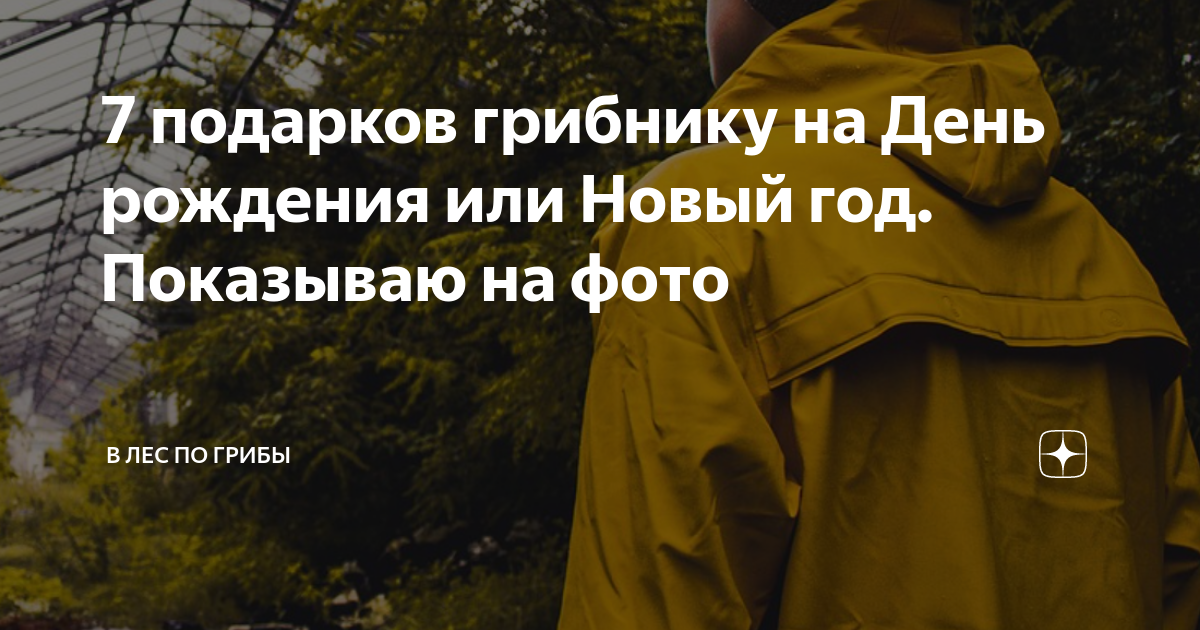 7 подарков грибнику на День рождения или Новый год. Показываю на фото ...
