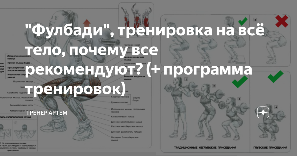 Программа тренировок фулбади. Упражнения фулбади тренировка. Фулбади тренировка для мужчин программа. Тренировка фулбади для мужчин в зале.
