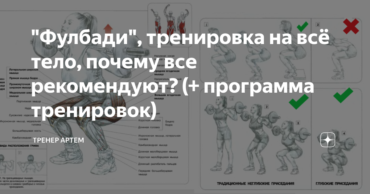 Программа тренировок фулбади. Фулбади тренировка упражнения. Фулбади тренировка для мужчин программа. Схема фулбади тренировок.