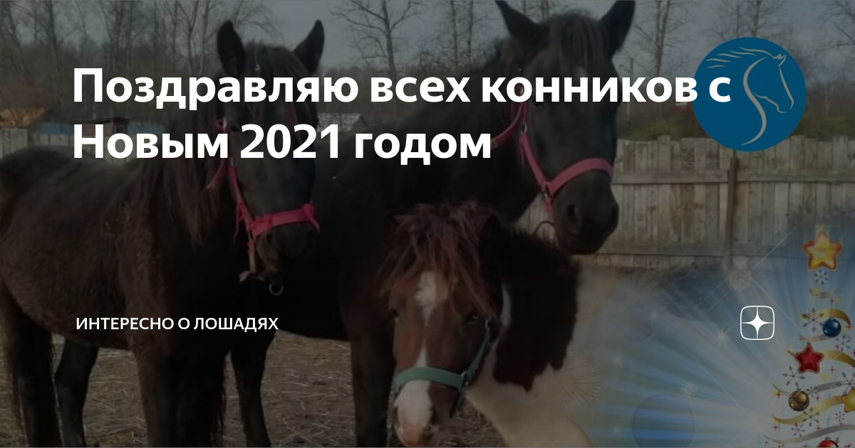 ОДА РОДИТЕЛЯМ КОННИКОВ | ESU Horses