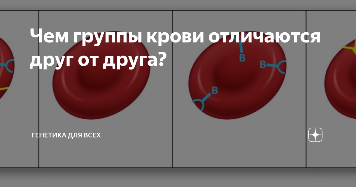 Отличия групп крови имеющихся у человека. Отличия групп крови. Чем отличаются группы крови. Как отличаются друг от друга группы крови. Группы крови у людей отличаются друг от друга.