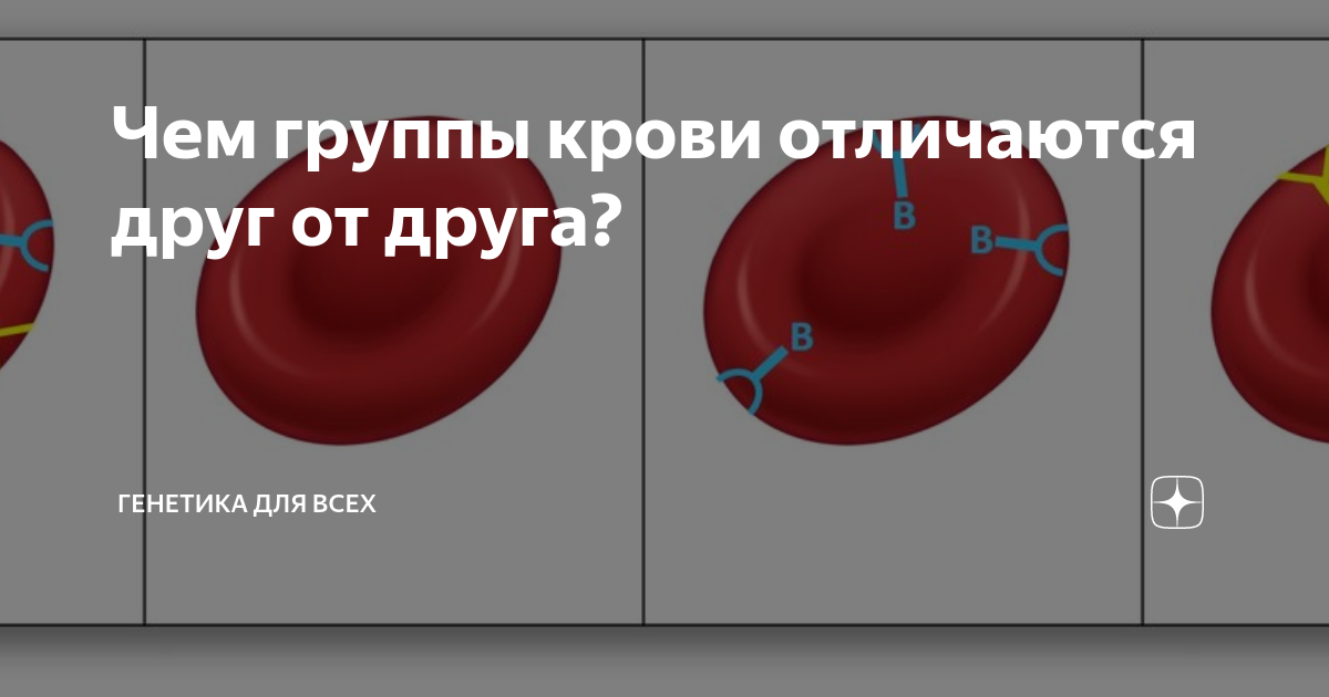 Отличия групп крови. Чем отличаются группы крови. Как отличаются друг от друга группы крови. Группы крови у людей отличаются друг от друга. Отличия групп крови имеющихся у человека