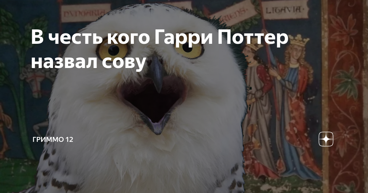 Как звали сову уизли. Как звали сову уизли