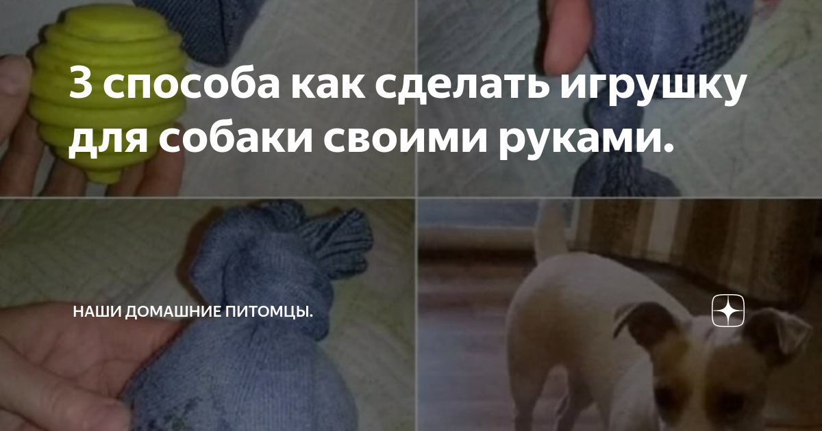 Развивающие игрушки для собак своими руками: подборка оригинальных идей | sauna-chelyabinsk.ru | Дзен