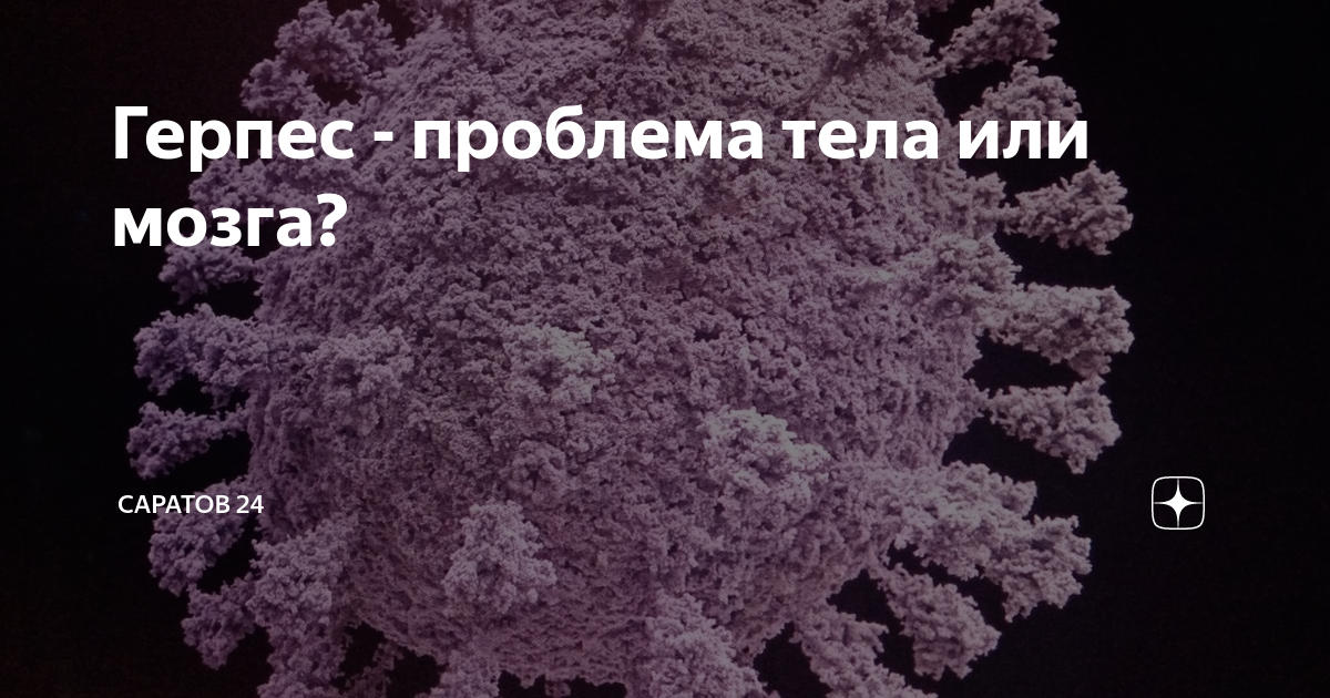 Герпес - проблема тела или мозга? | Саратов 24 | Дзен