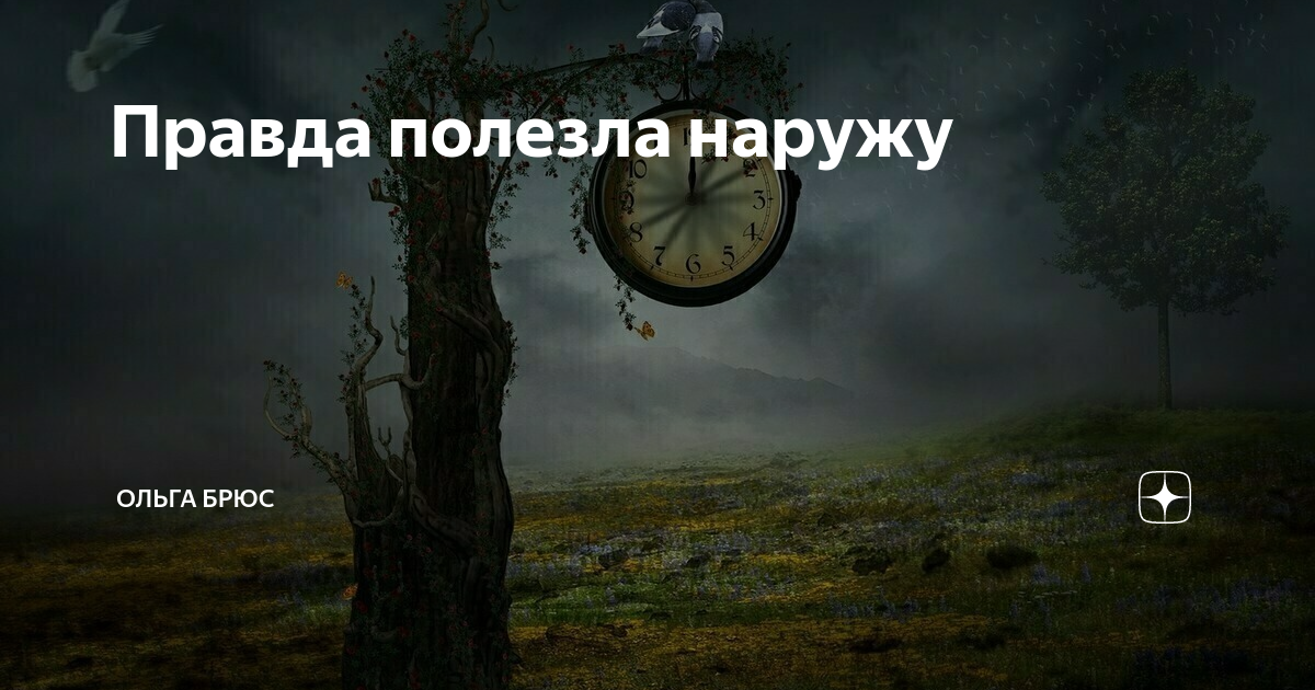 Правда полезла наружу | Ольга Брюс | Дзен