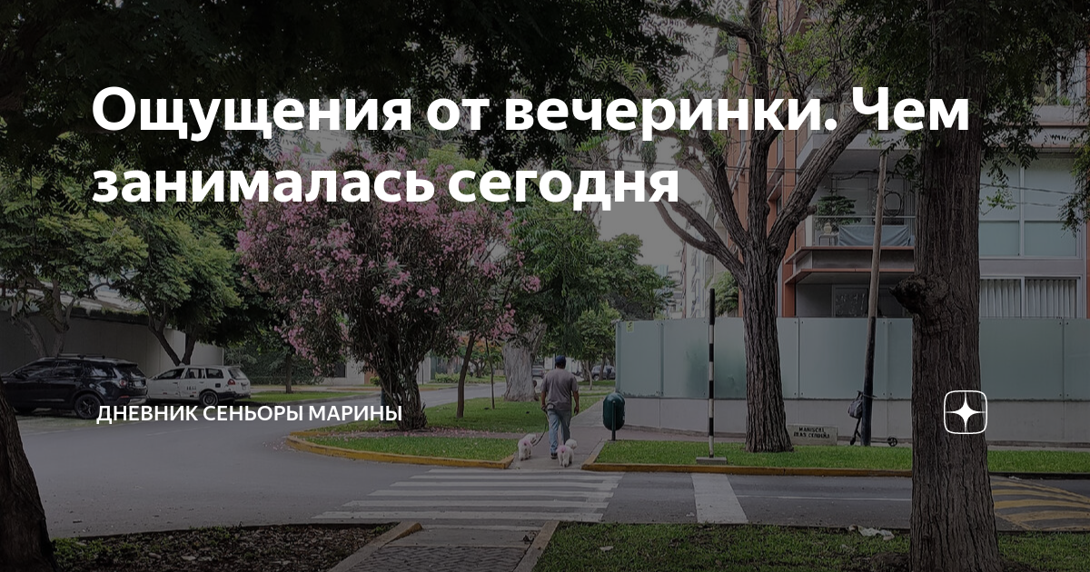 Ощущения от вечеринки. Чем занималась сегодня | Дневник сеньоры Марины ...