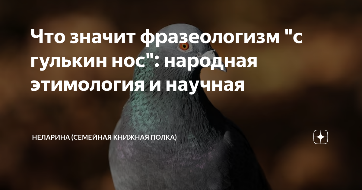 Что значит фразеологизм "с гулькин нос": народная этимология и научная ...