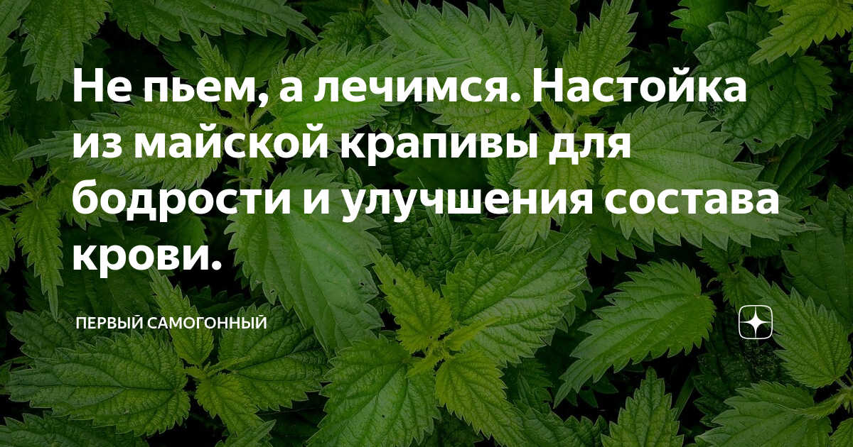 Собирайте крапиву огэ