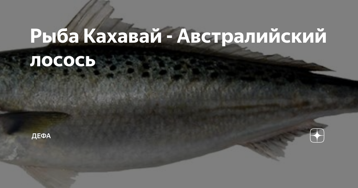 Рыба Кахавай Defa group