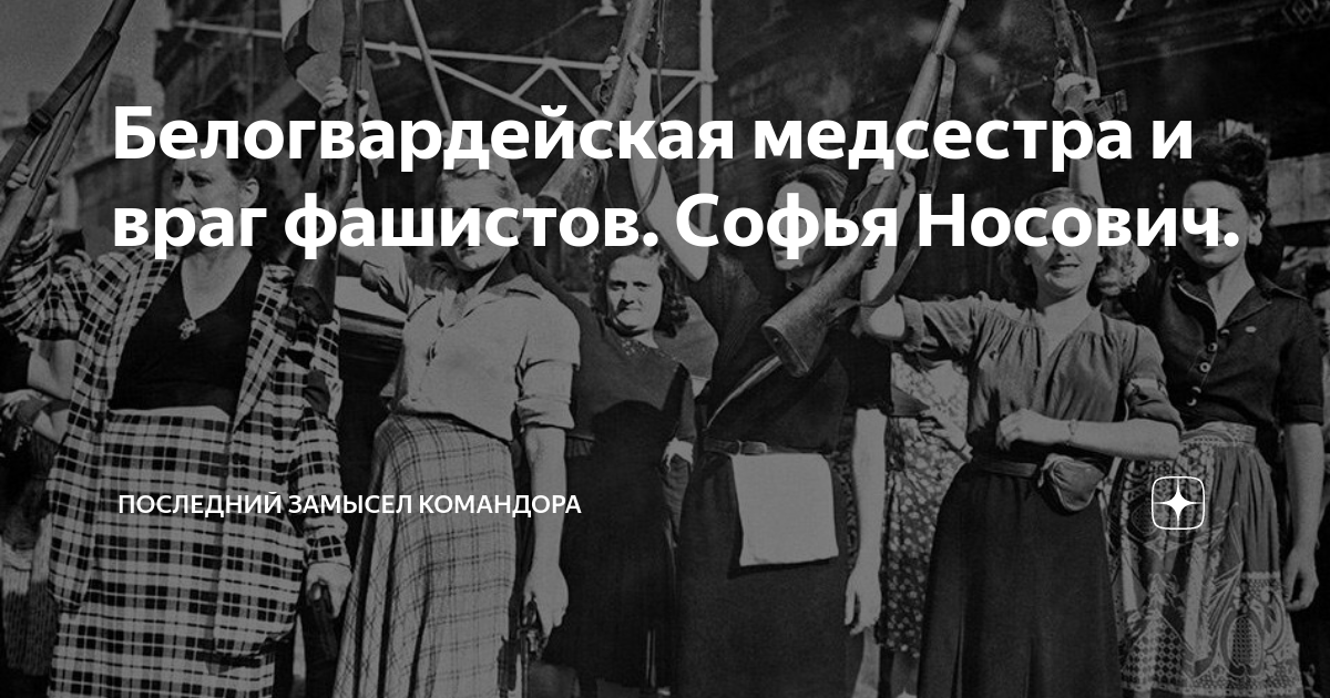 Последний замысел командора дзен читать