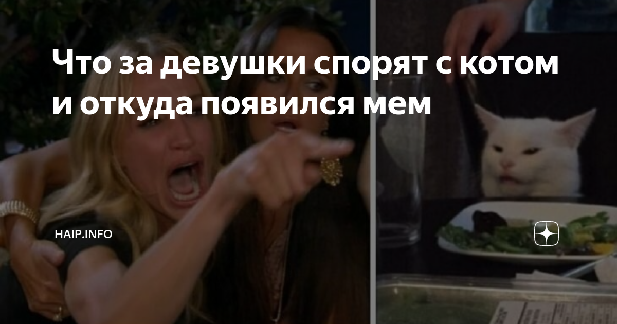 Мем: Две женщины орут на озадаченного кота за столом Татьяна Ок Дзен