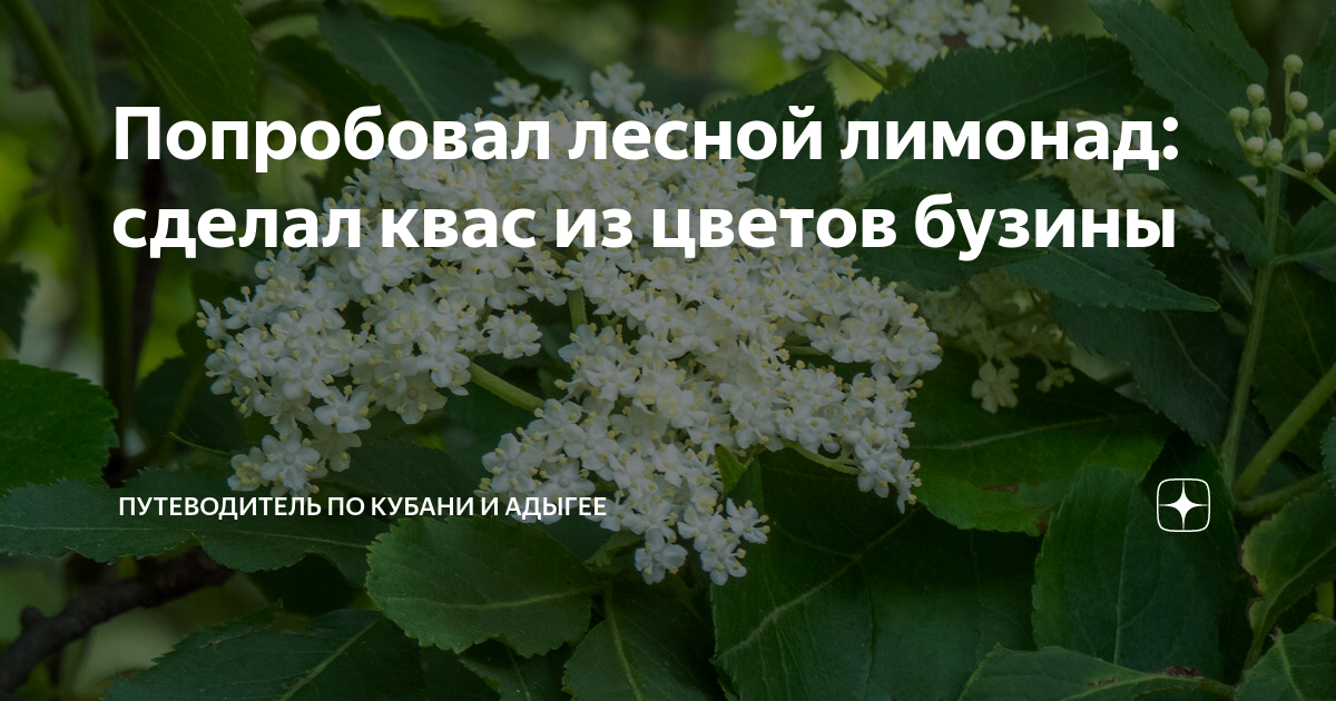 Что добывают из буровых скважин лимонад минеральную воду пиво квас