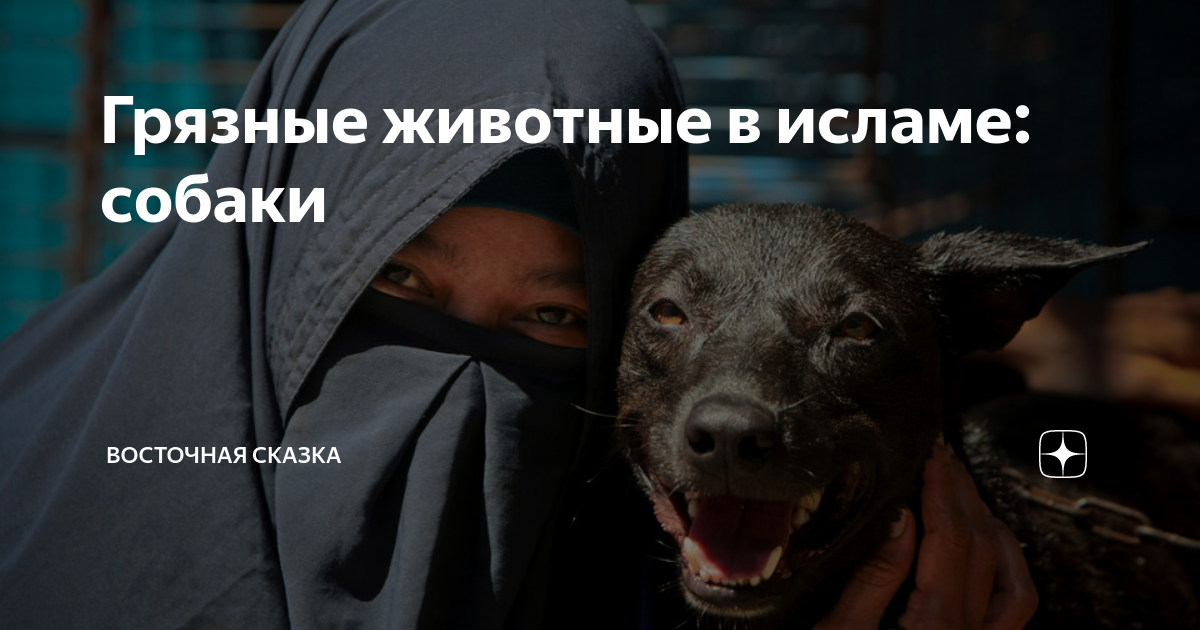 хадисы про собак. хадисы в картинках. хадисы о родителях. хадисы про собак. хадисы про собак.