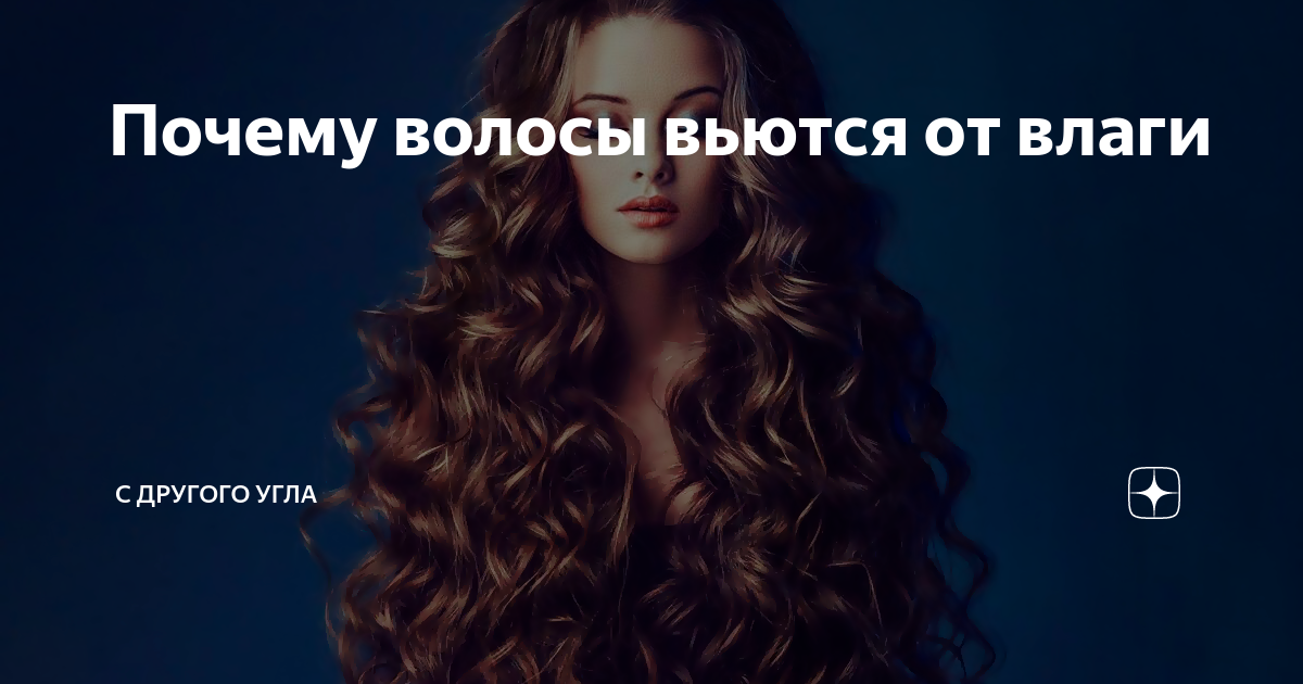 кудри вьются у порядочных людей. волнистые волосы. структура кудрявого волоса. волосы растут кудряво. кудрявые волосы.