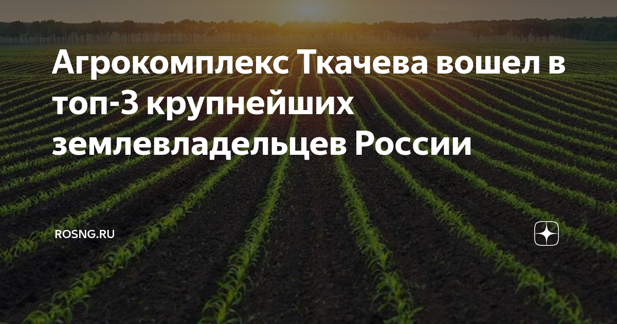 выселки ткачев агрокомплекс. выселки ткачев агрокомплекс. ао фирма агрокомплекс им н и ткачева. агрохолдинг краснодар ткачев. александр ткачев агрокомплекс.