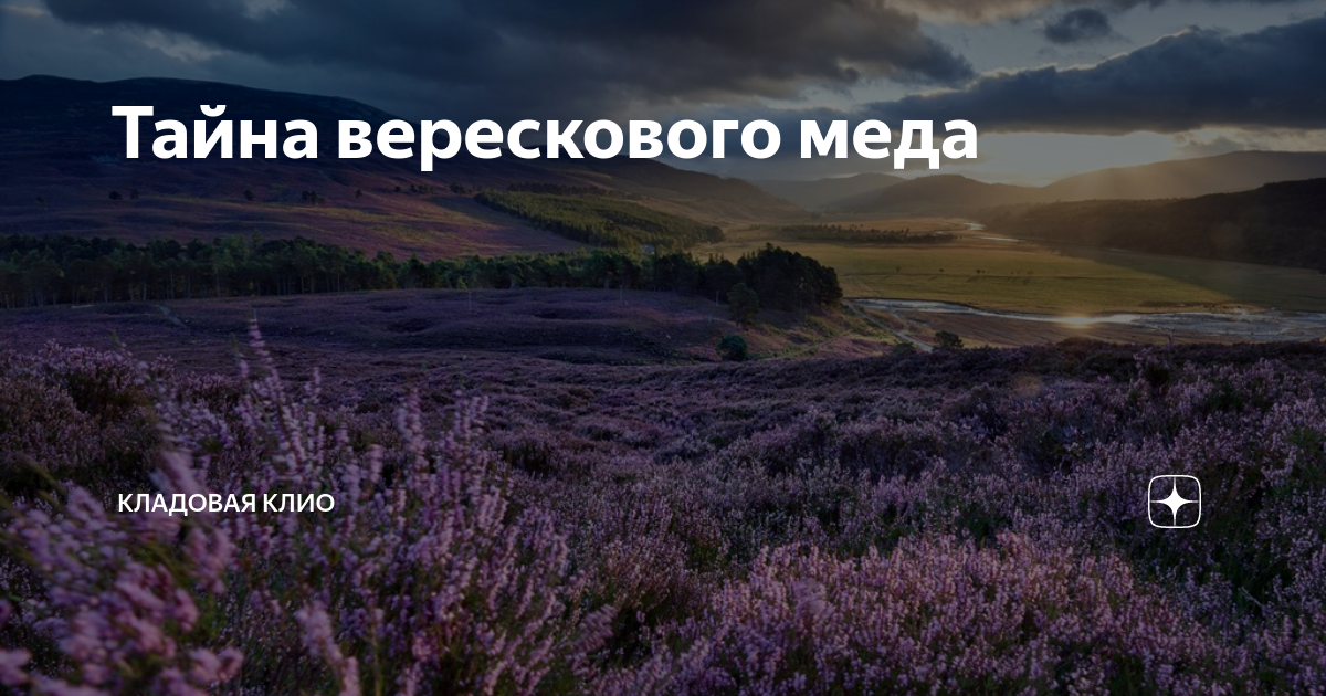 Вересковая Пустошь гроза
