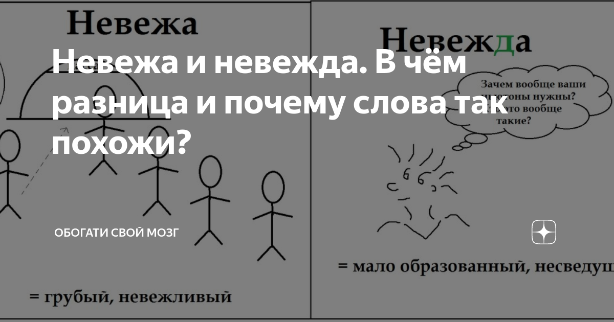 Невежа и невежда значение этих слов. Невежа и невежда. Невежда и невежа значение слова. Невежа и невежда разница. Невежество и невежда разница.