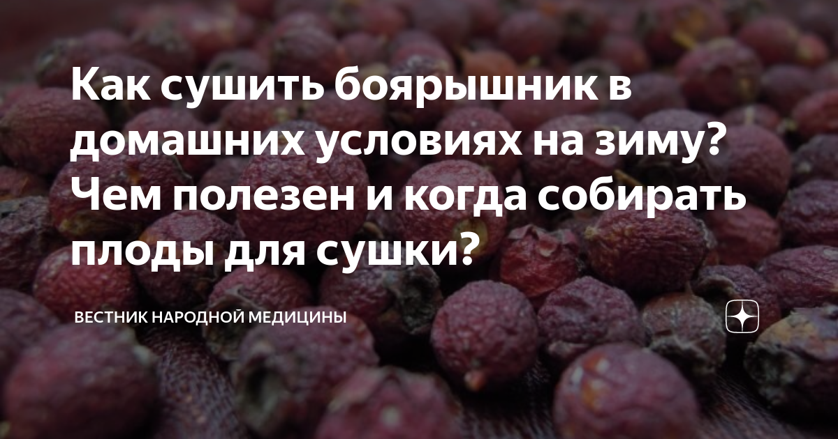 Как сушить плоды боярышника. Ешьте зеленую сливу.